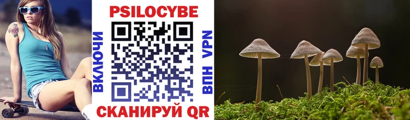 где купить наркоту  KRAKEN сайт  Псилоцибиновые грибы Magic Shrooms  Богданович 