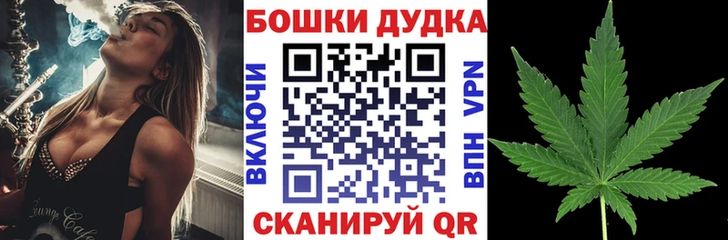 Каннабис семена  Богданович 